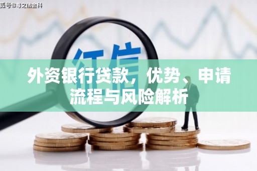 阜平外资银行贷款，优势、申请流程与风险解析